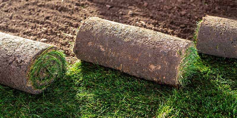 Sod Installation image