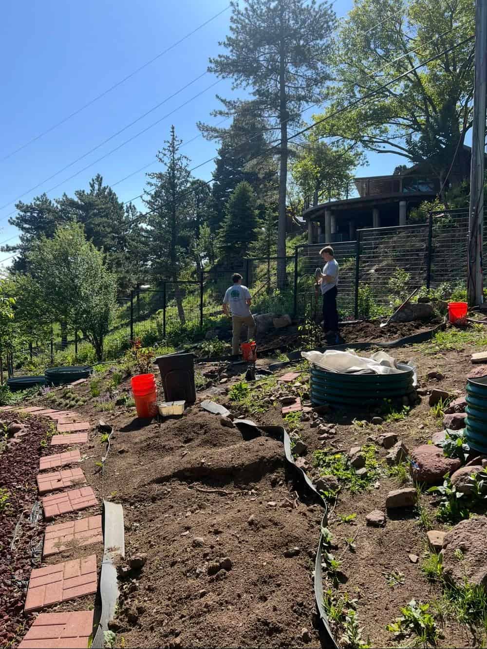 Colorado Native Gardens image