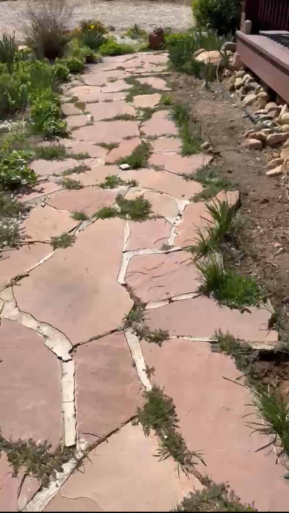 Weed Solutions image