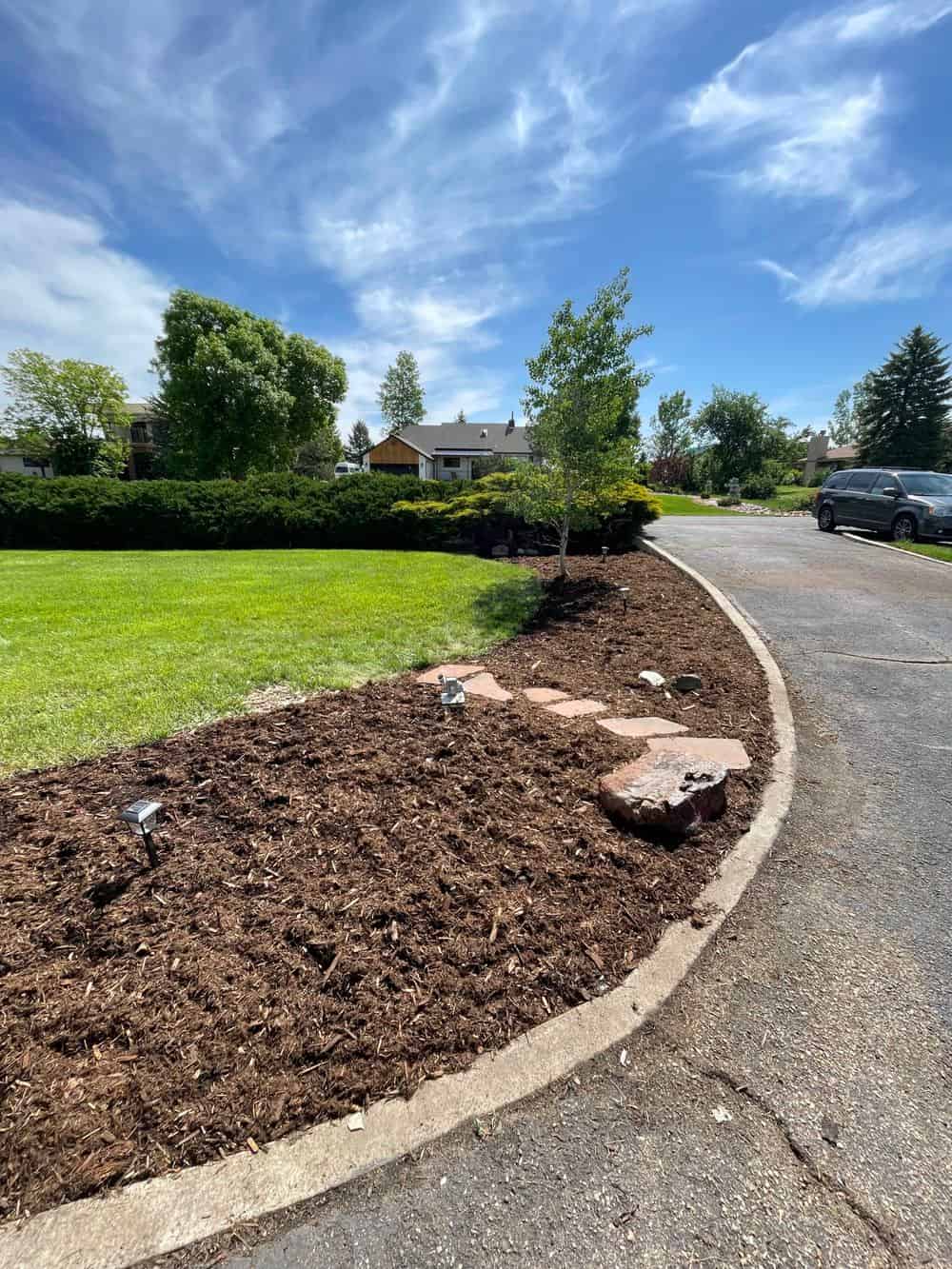 Lawn Replacement image