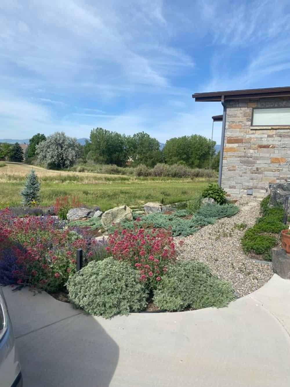 Planting and Garden Design/Install image