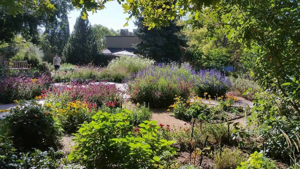 Xeriscapes & Native Perennial Gardens image
