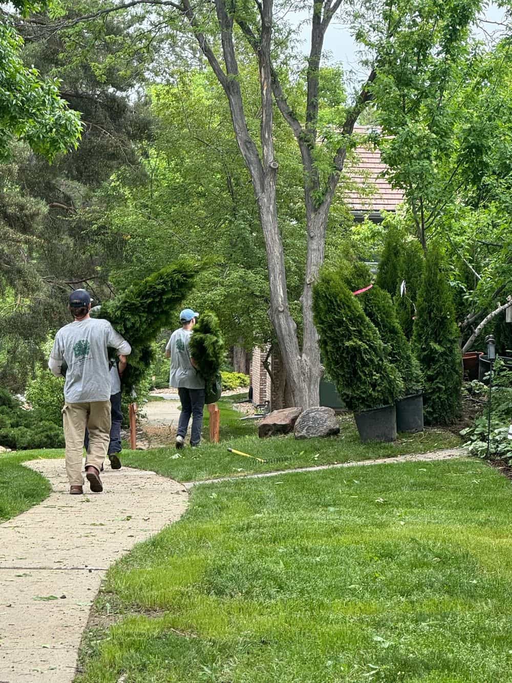 Hero image for Green Mountain Boys Garden and Landscape