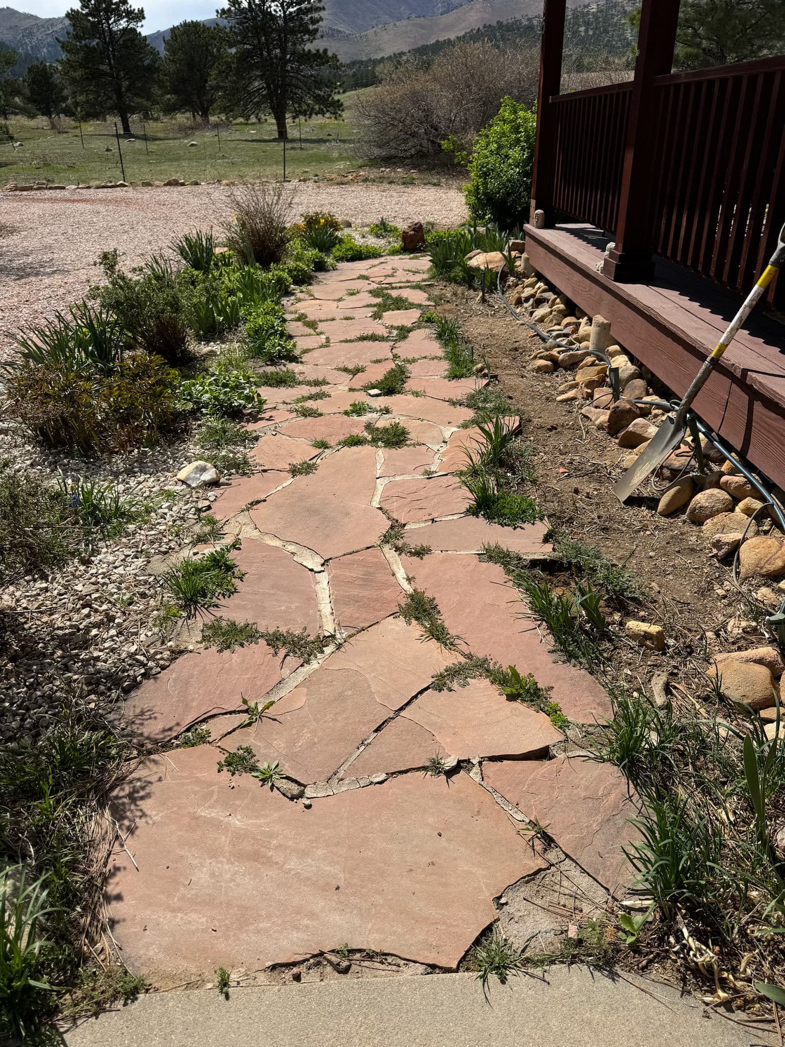 Gallery photos for Upgraded Flagstone Walkway for a Stunning Garden Path: Image #3