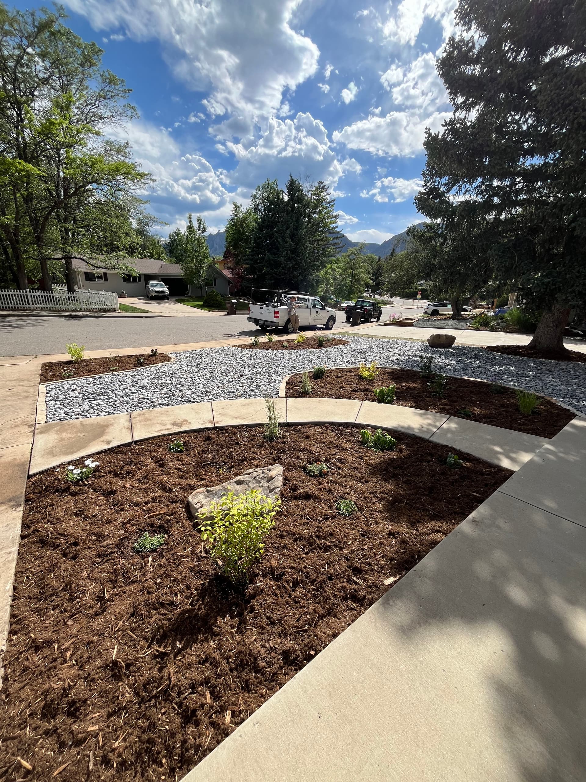 Lawn Out, Native Perennials In - Boulder Xeriscape Install image