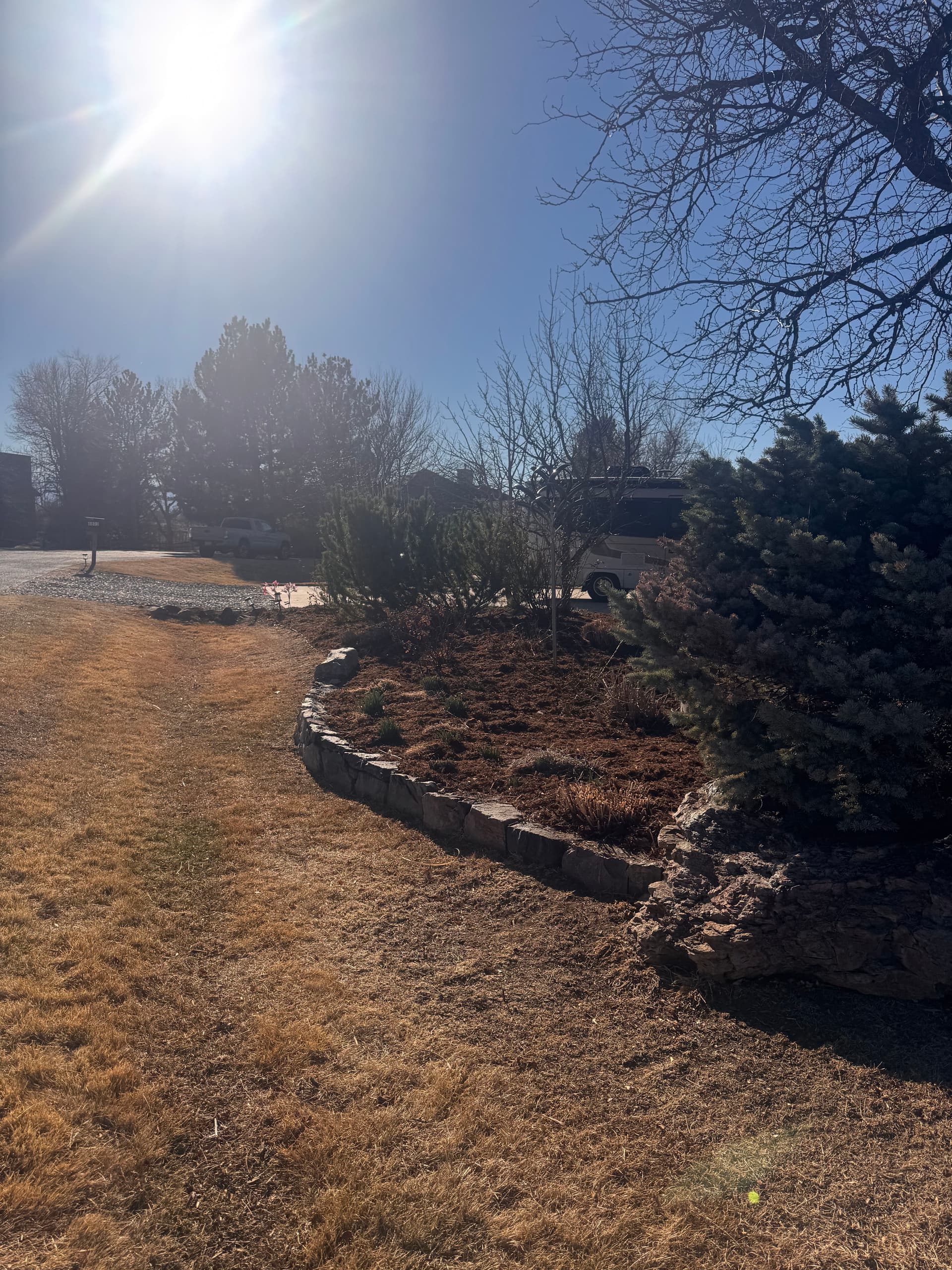 Gallery photos for Elevating Outdoor Spaces with Steppers and Mulching: Image #3