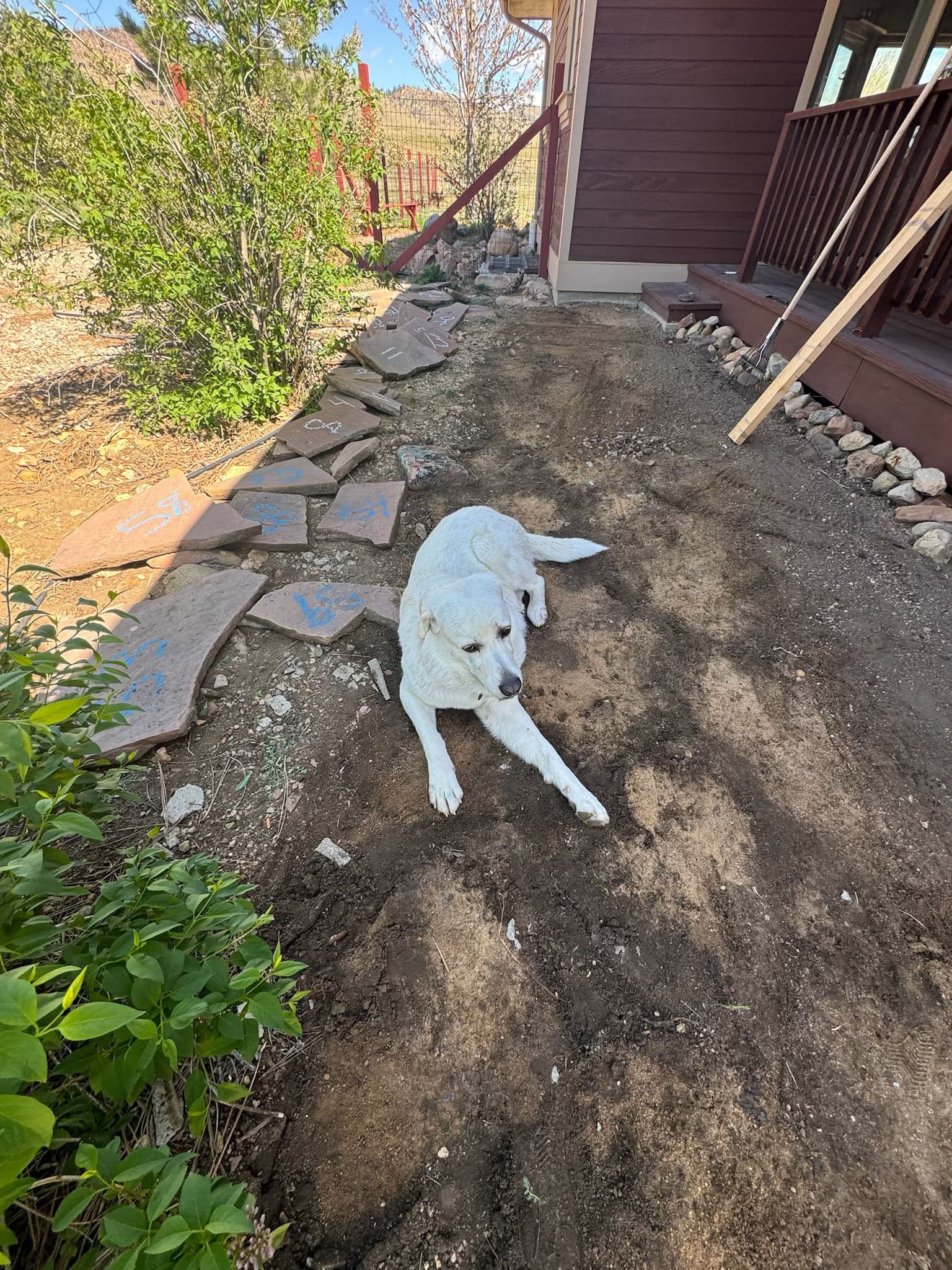 Gallery photos for Upgraded Flagstone Walkway for a Stunning Garden Path: Image #4