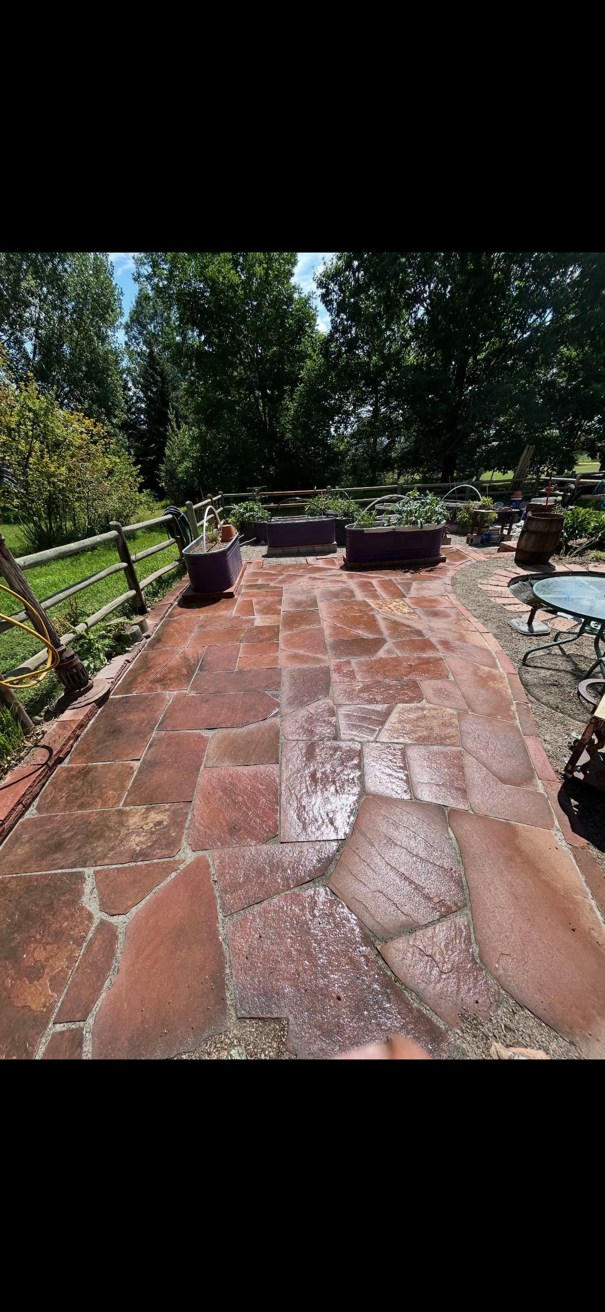 Project Patio and Walkway Refresh for a Beautiful Outdoor Space image