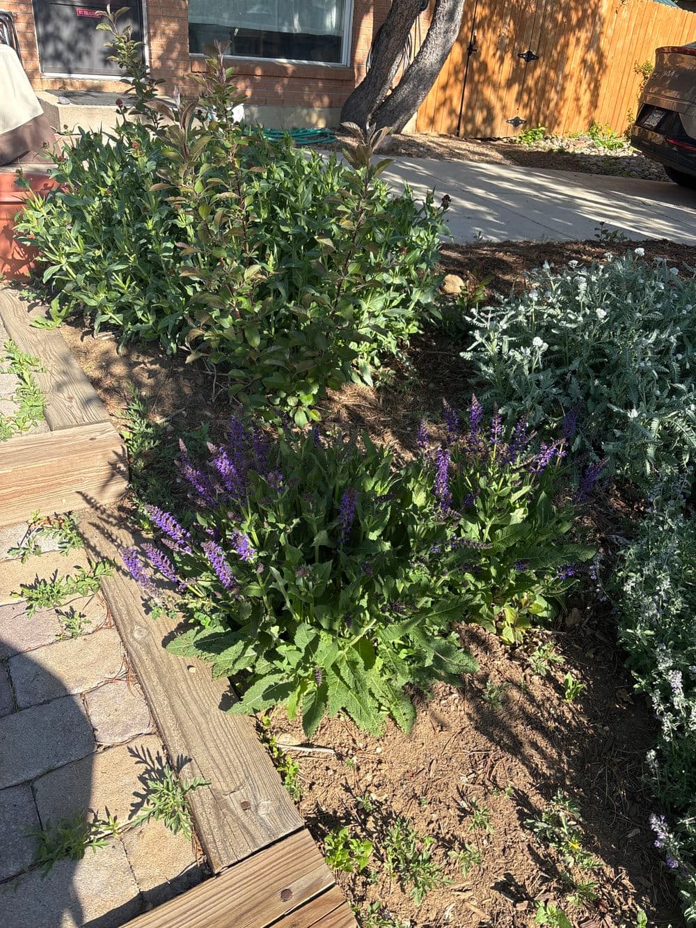 Contact form background