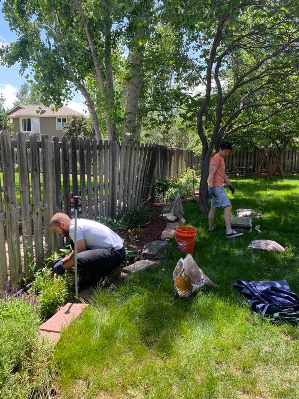 Seasonal Garden Maintenance by Skilled Professionals