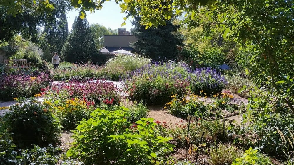Vibrant garden filled with colorful flowers, pathways, and a person strolling in the background.