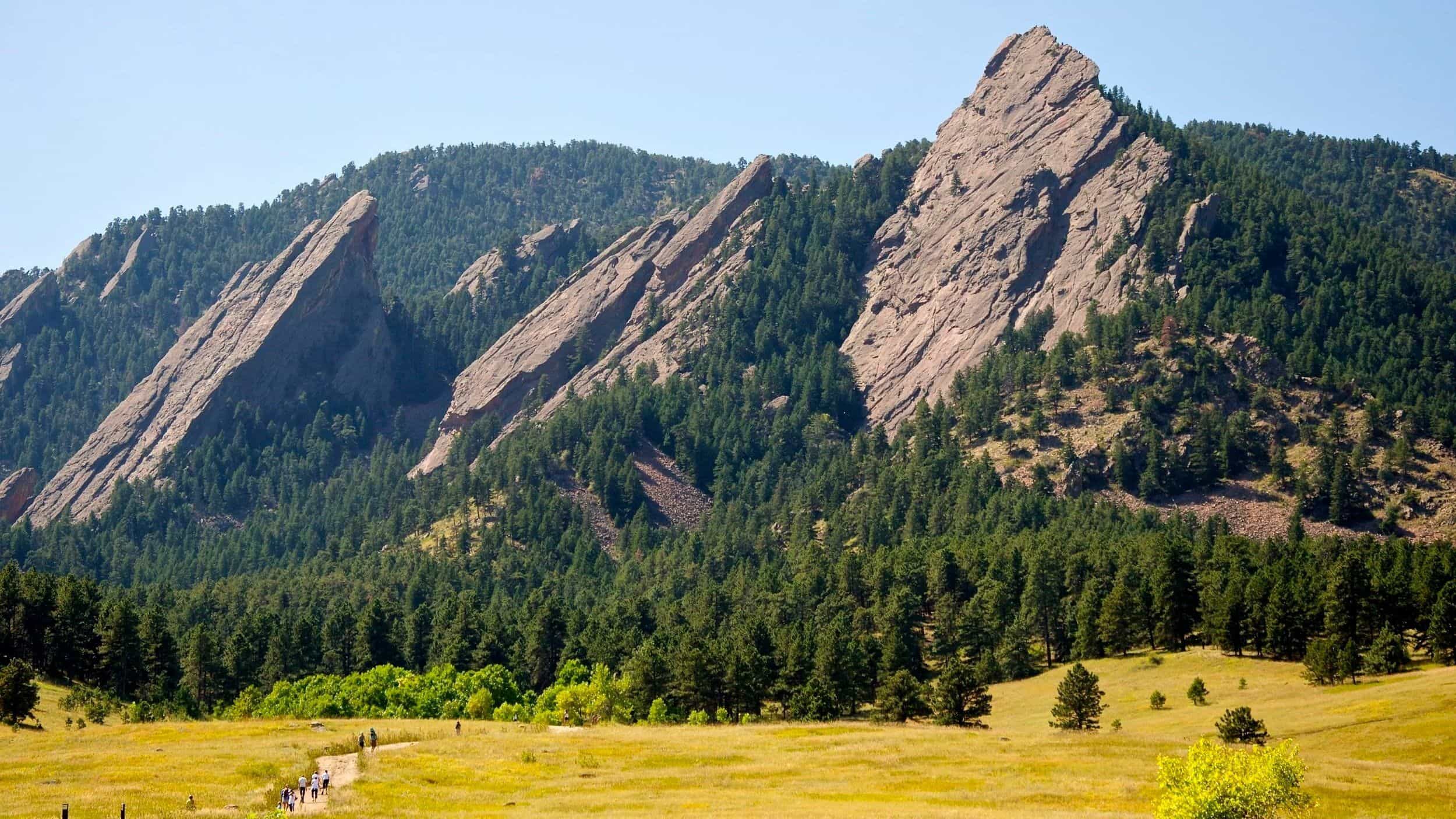 Hero image for Green Mountain Boys Garden and Landscape