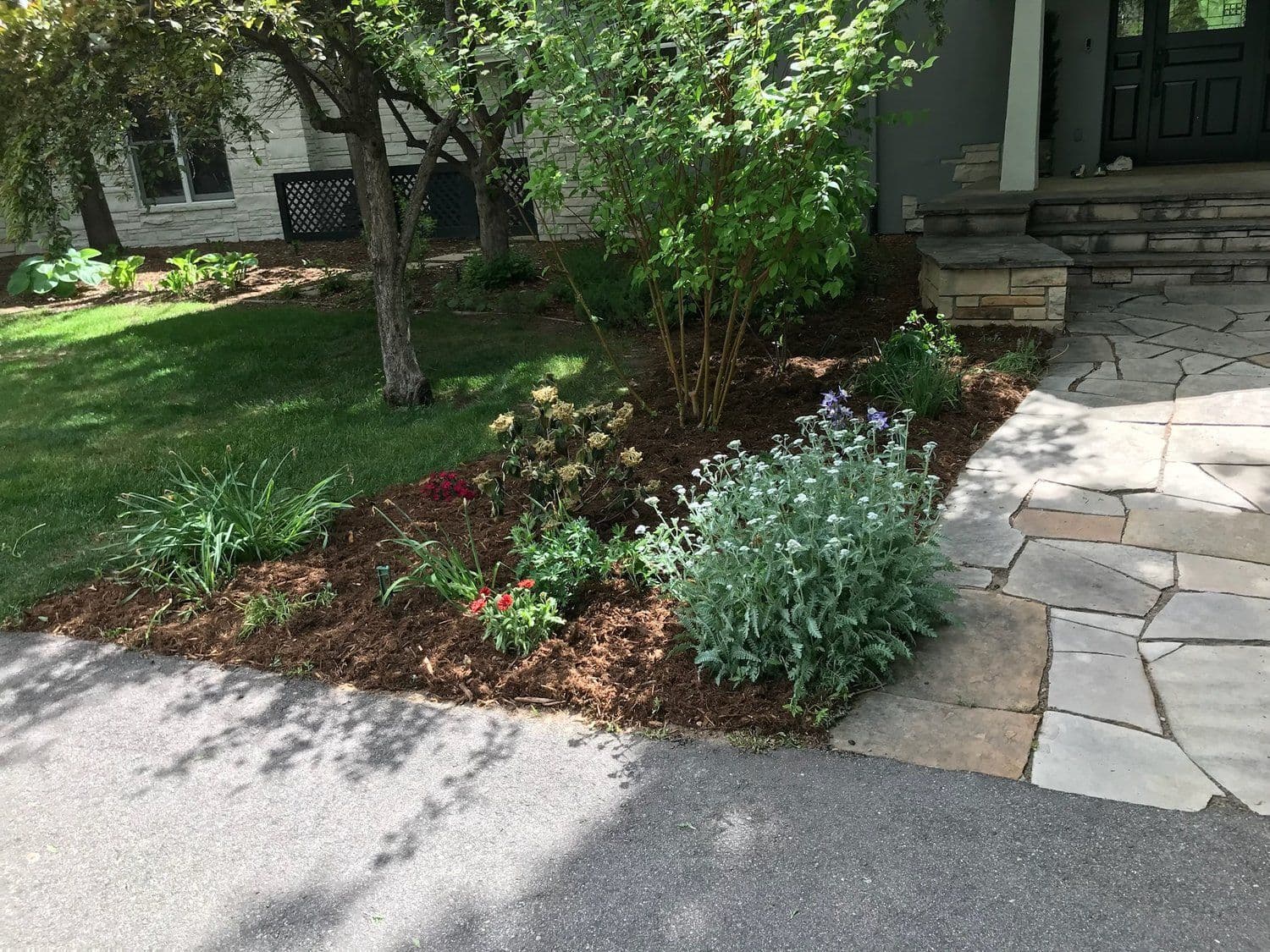 Colorful flower bed with various plants and mulch beside a stone pathway and manicured lawn.