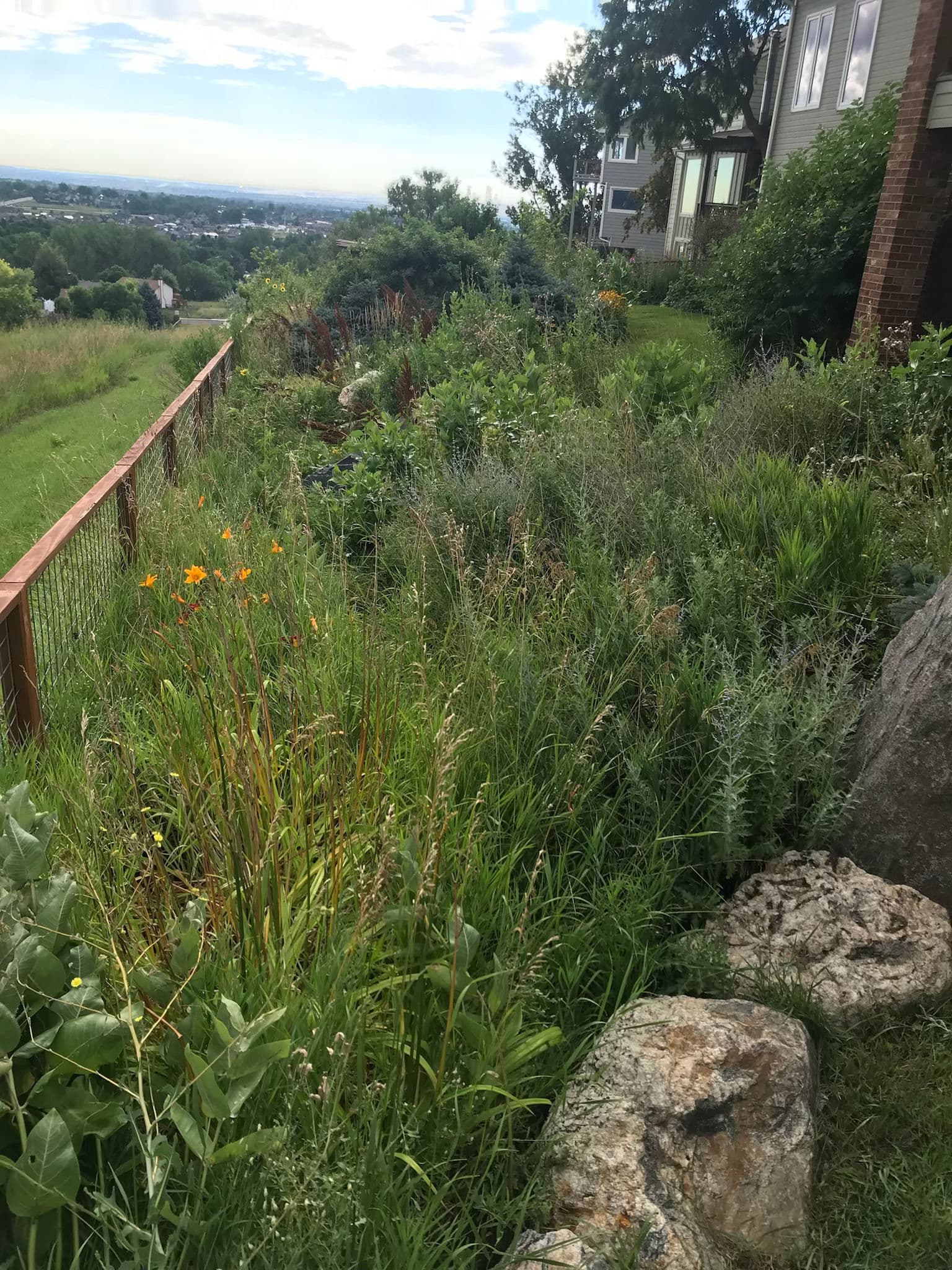 Naturally Beautiful Pathway Creation image