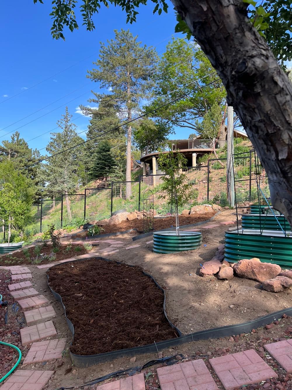 Vibrant garden landscape with raised metal beds, mulch path, and trees under a clear blue sky.