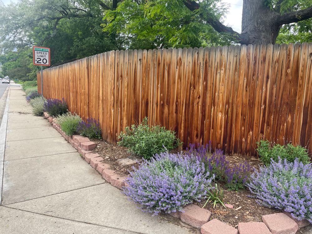 Wooden fence with purple flowering plants and a 20 mph speed limit sign beside a sidewalk.