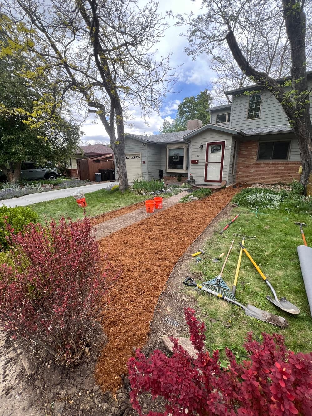 Front yard landscaping with fresh mulch, tools, and vibrant bushes near a residential home.