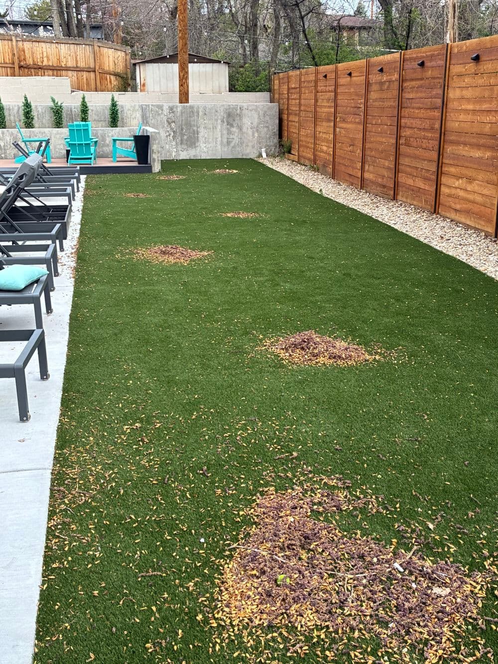 Artificial turf yard with leaf piles, modern fencing, and lounge chairs in a serene outdoor space.