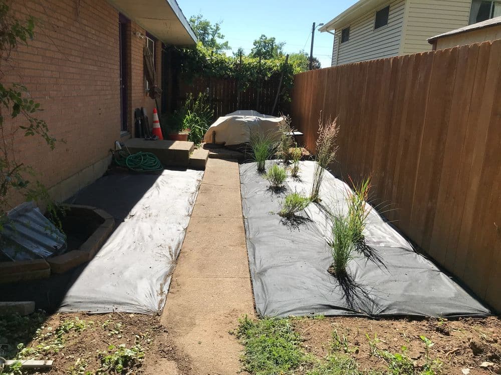 Backyard garden with black landscaping fabric, new plants, and a concrete path.